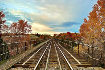 Things To Do In Durham Region April 24th – May 1st, 2026