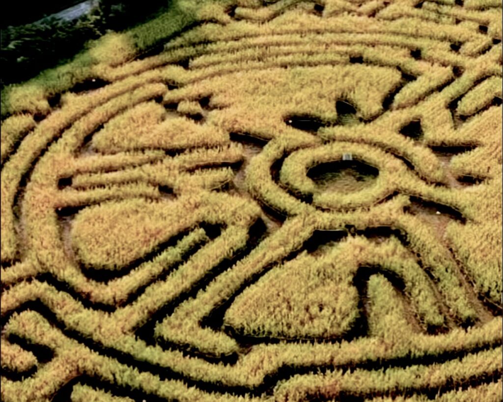 Arial View of the 6 acre corn maze at Pingles Farm