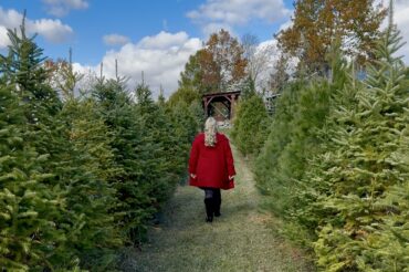 The Ultimate Guide to Christmas Tree Farms in Durham Region 2025