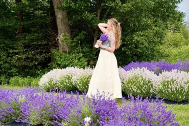 8 Lavender Fields in Durham Region that are open now!