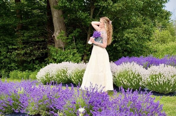 8 Lavender Fields in Durham Region that are open now!