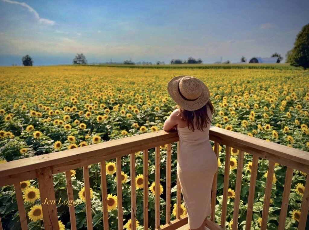 There are tons of photo ops like this one where a woman gazes over a sunflower field on the overlook platform at the Sunflower Farm in Beaverton